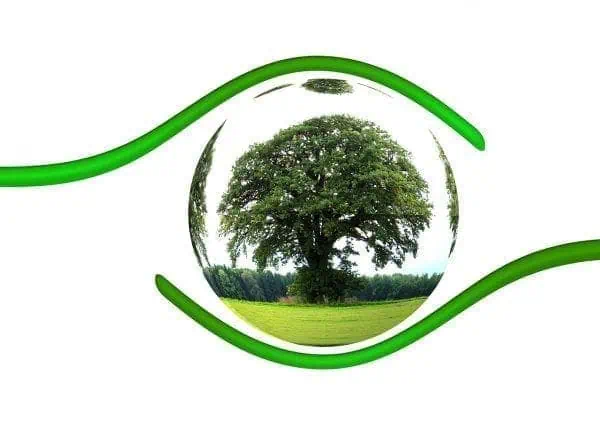 Take Action & Reduce Pollution: It Starts With You 1 Take Action & Reduce Pollution: It Starts With You 1