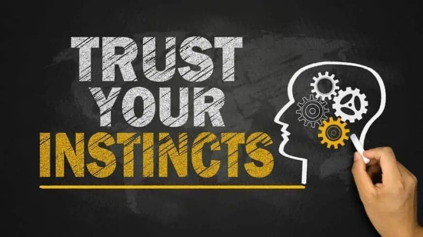 Trust Your Instincts written on a black board. 16-Year-Old