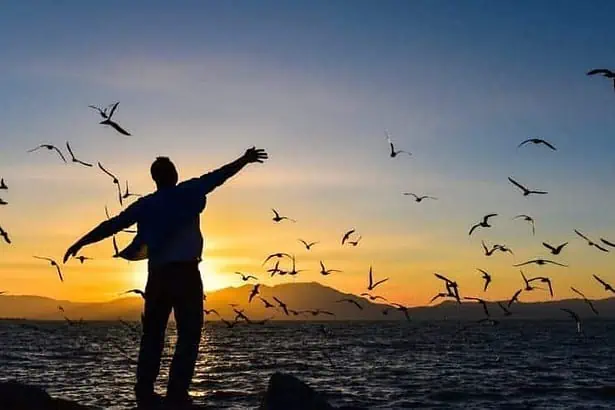 Freedom quotes to help you