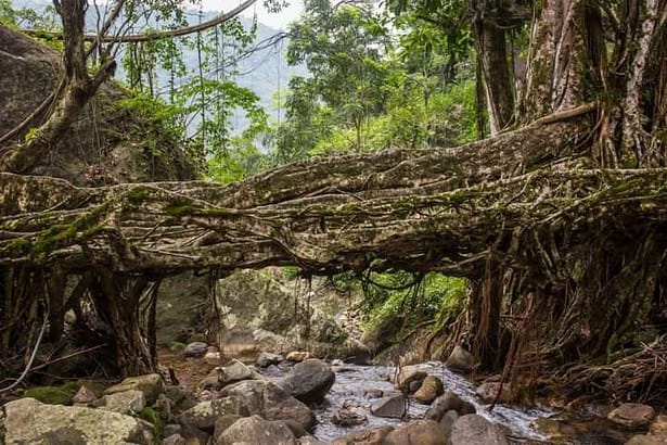 Cherrapunji