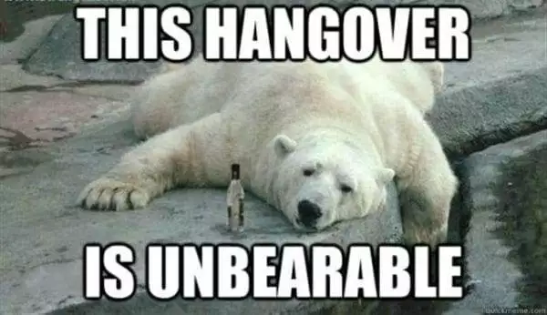 North Korea's New Invention: Hello Rice, Bye Bye Hangovers! 2