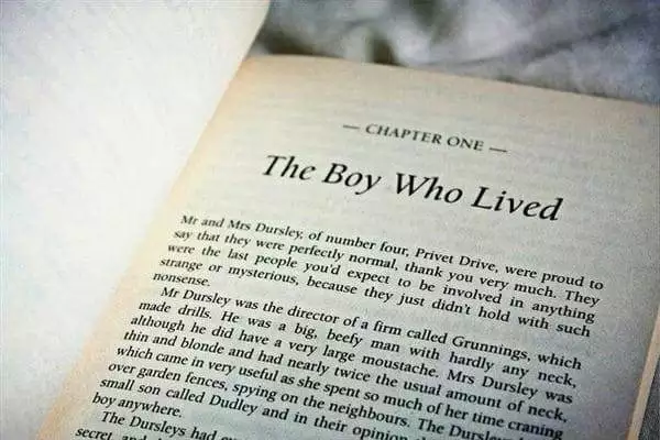 Why the Harry Potter Fandom Remains Indomitable? 6
