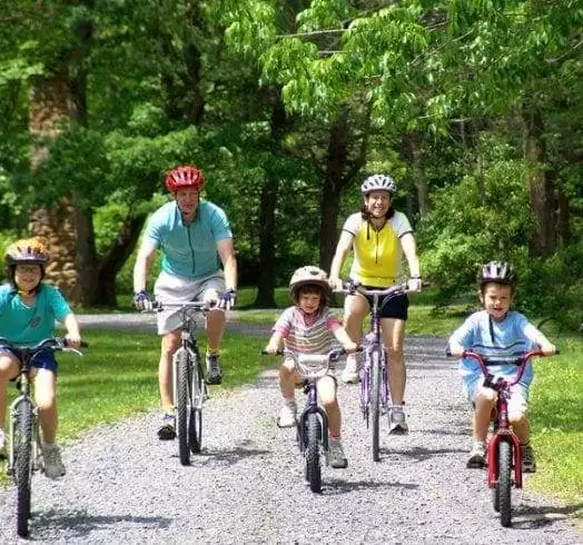 What You Should Know About the Fascinating World of Cycling 1 What You Should Know About the Fascinating World of Cycling 1