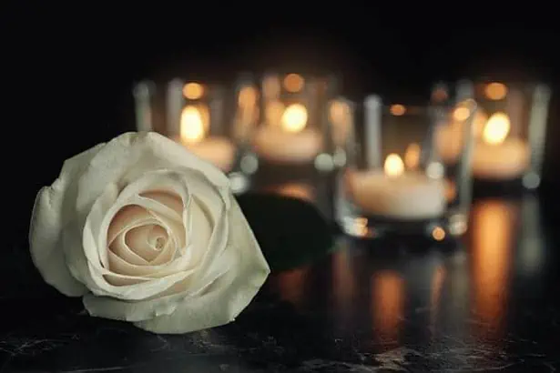 White rose representing funeral