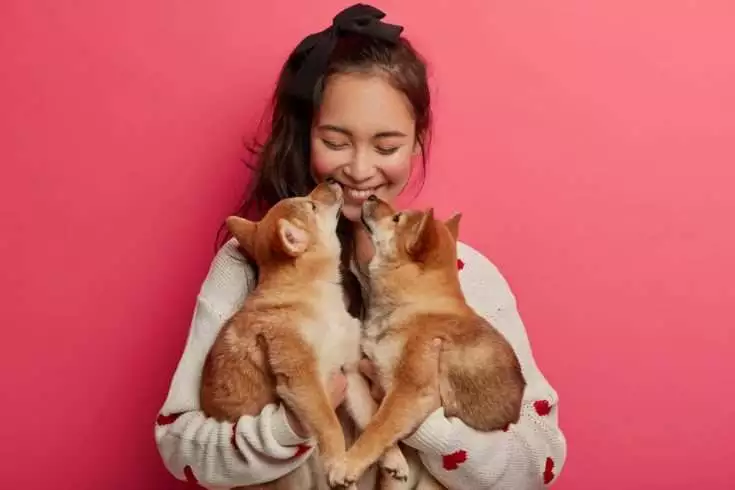 Woman holding dogs 