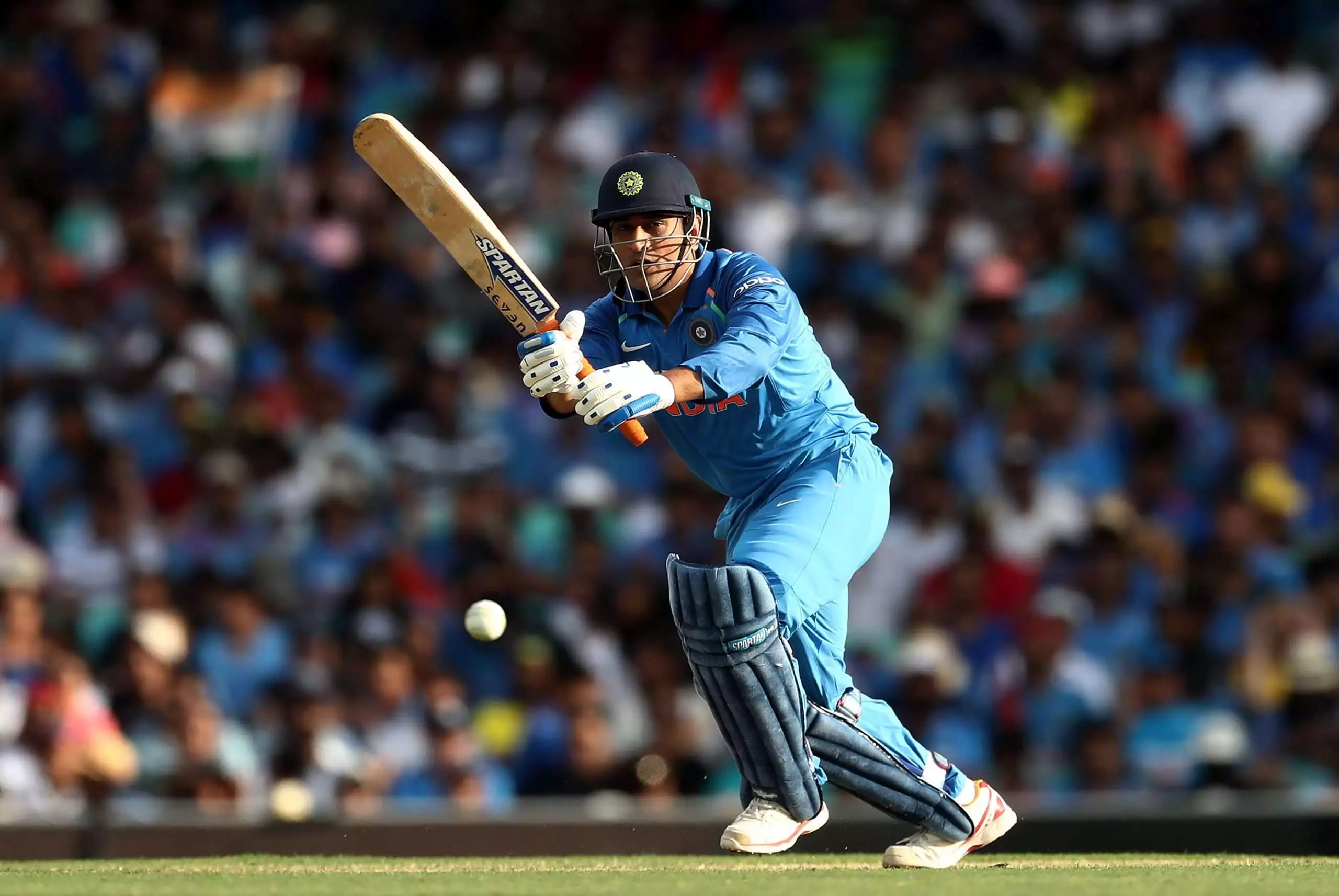 Dhoni 