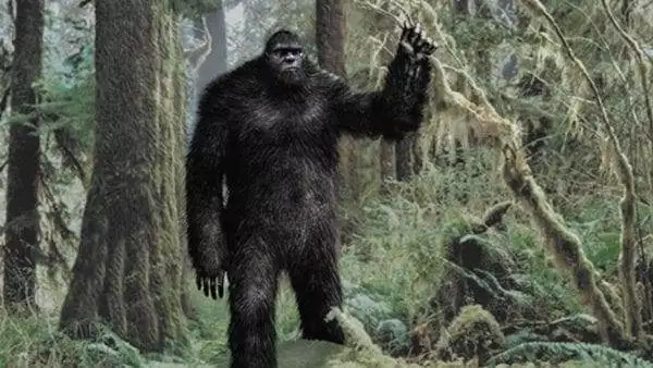 The Mystery of Bigfoot 1