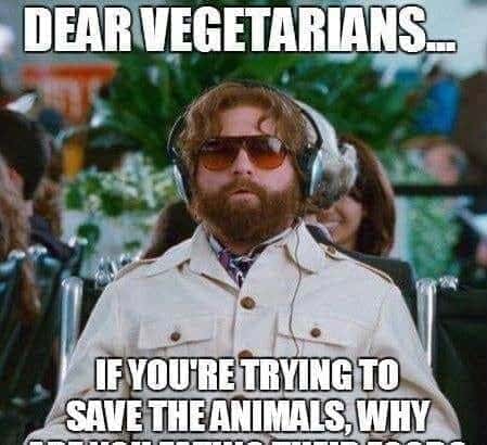 Stupid Questions Faced By Vegetarians 5