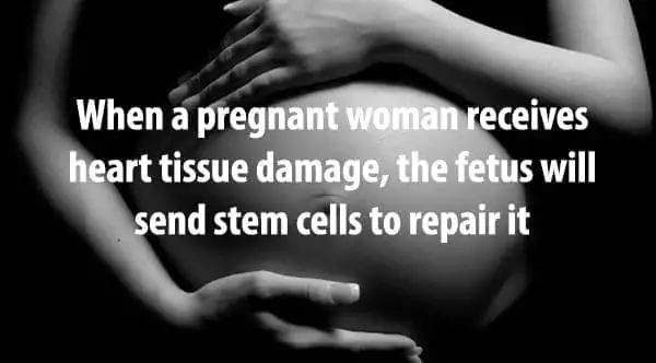 25 Facts About the Human Body that Are Useless to Know 3