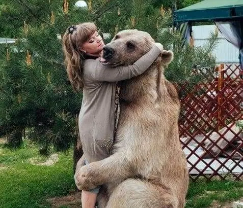 Now, Have Your Pet Bear Sit With You 2