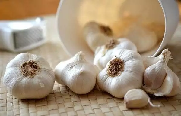 Interesting Facts About Garlic 3