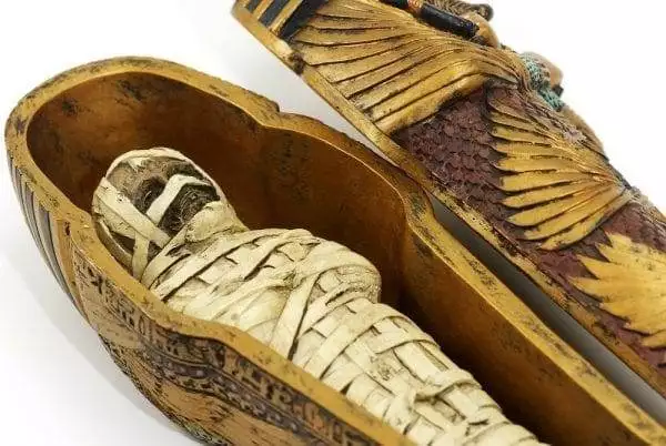 The Indian man Mr Shah Restored a 4,500 year old Mummy 4