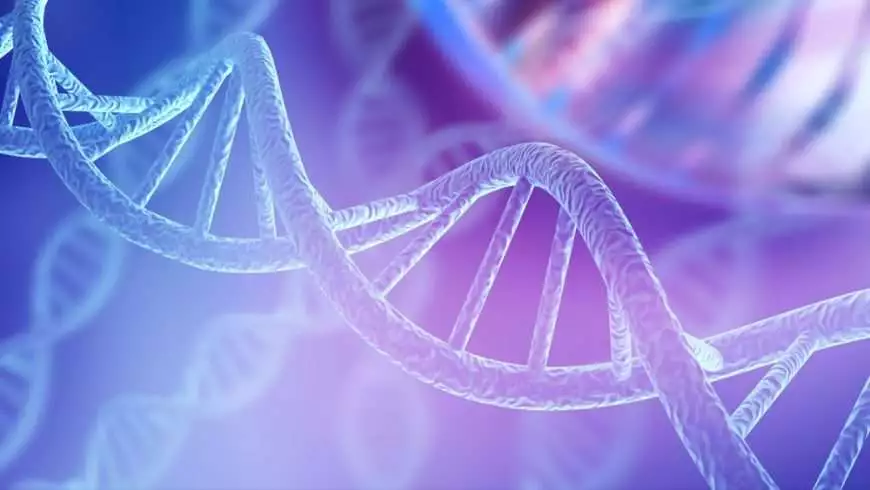 Theories That Will Make You Loose Your Mind 3 Human DNA