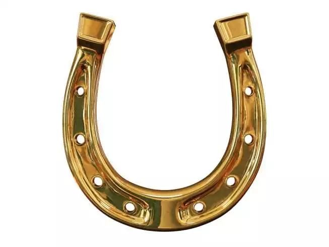 Goodluck horseshoe