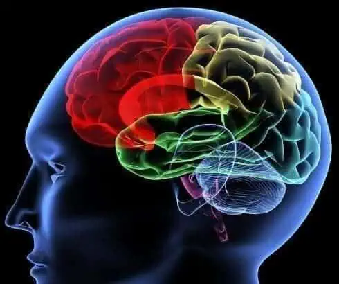 Human Body Mysteries That Science Cannot Solve 4