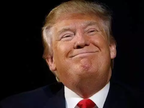 Trending trolls after the victory of Donald Trump 5