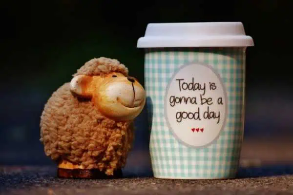Why Staying Positive Is Of Immense Importance 1