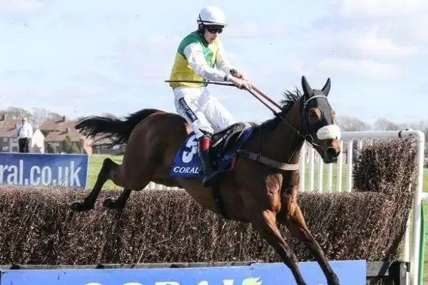 Looking Forward To The Scottish Grand National 1
