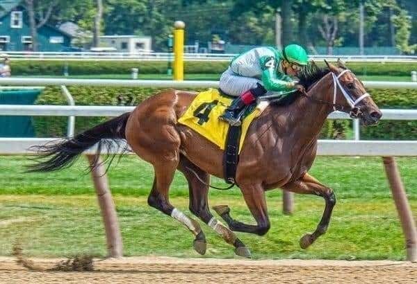 Sport Betting by Advantageous Rules: A Look 2