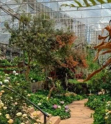 solar garden lights
