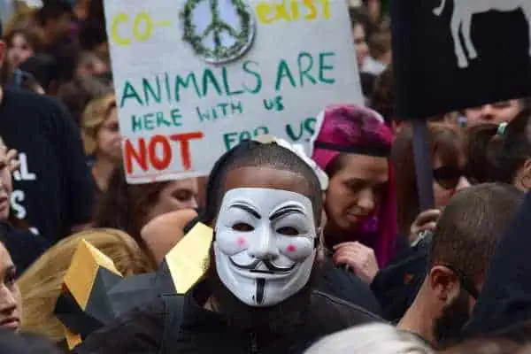 Animal Humane Society: Top 15 Rights We Need 3