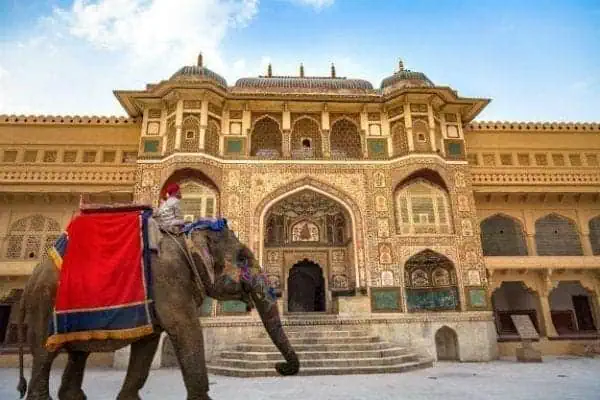 25 Books to Read Before Going to India! 4
