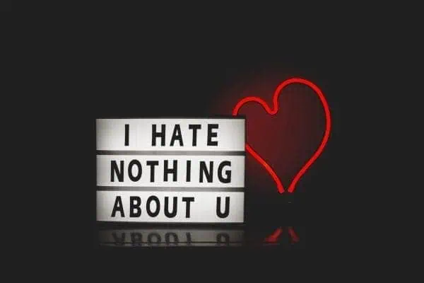 I hate nothing about you