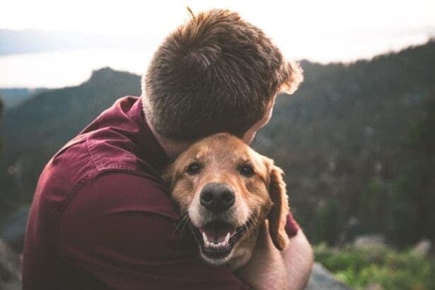 The Top 10 Amazing Reasons To Get A Dog 2