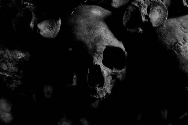 Scary Stories to tell in the Dark