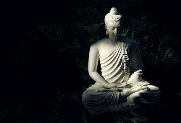 Curious Mind: The 7 Most Fascinating People in History 2