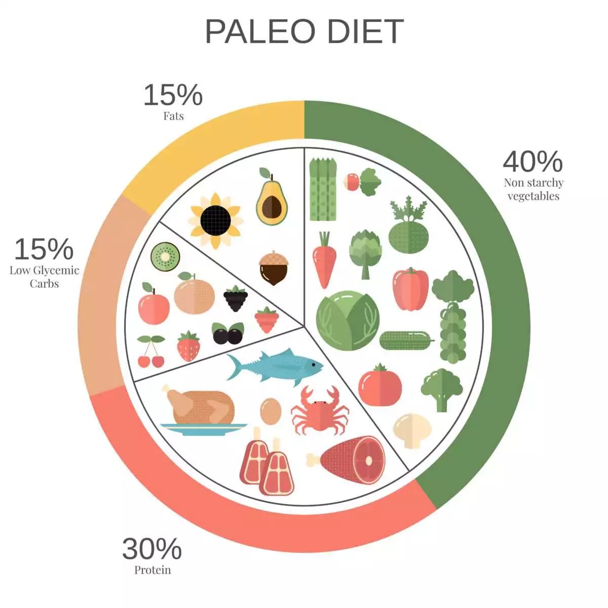 foods infographics paleo diet food pie chart with recommended diary