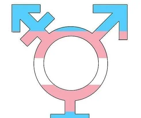 Top 10 Transgender Personalities in the World 2
