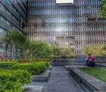 10 Best Reasons To Have An Urban Jungle Near You 7