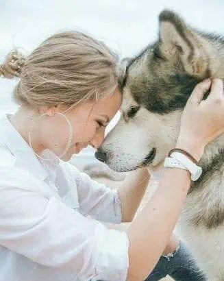 18 Incredible Dog Training Tips 3