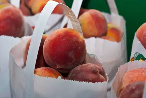 Georgia Peach