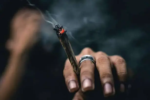 Fronto Leaf