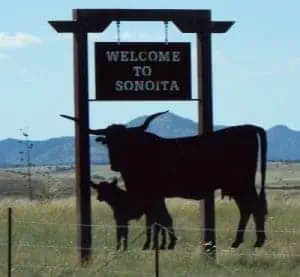 Sonoita Wineries