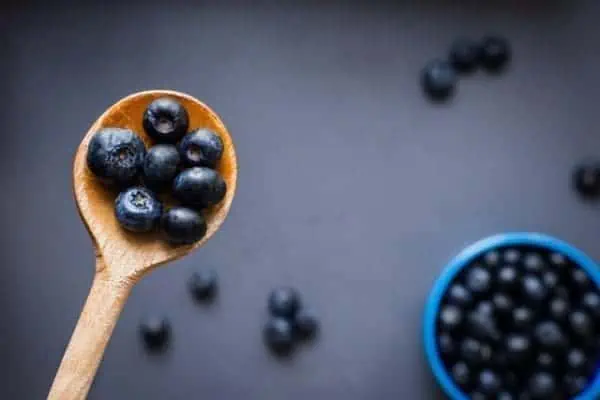 wild maine blueberries