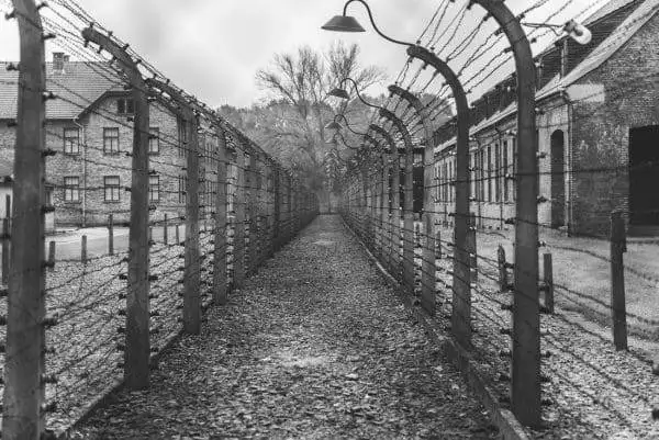 Concentration Camps: A Painful History 2