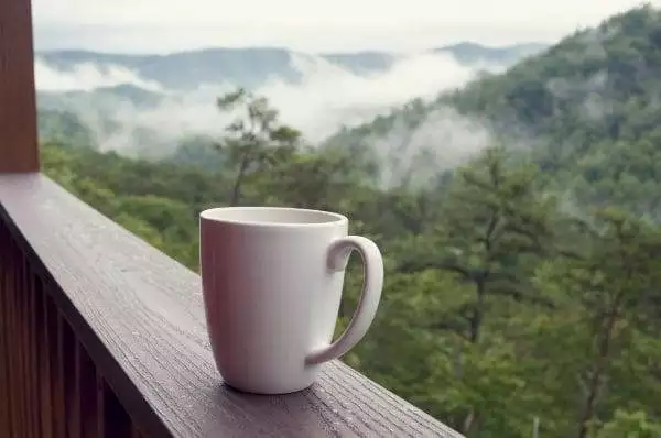 Smoky Mountain Vacation: The Ultimate Guide 4