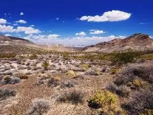 Top 15 Wyoming RV Parks You Must Visit for Adventure 7