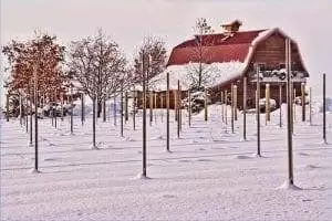 8 Wonderful Walla Walla Wineries 6 Walla Walla wineries