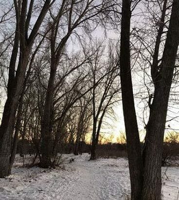 Jordan River Trail: A Complete Guide Of The Gem 9