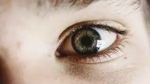 6 Easy False Eyelash Tips and Tricks 3 False eyelash tips and tricks