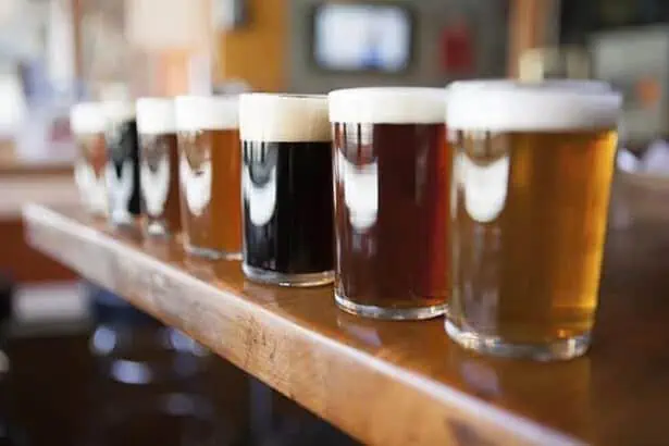 Jax Brew Bus Beer Tours in Jacksonville, FL - Jax Ale Trail