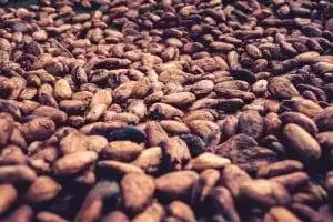 History of Chocolate Timeline: A Fascinating Journey 3 History of chocolate timeline