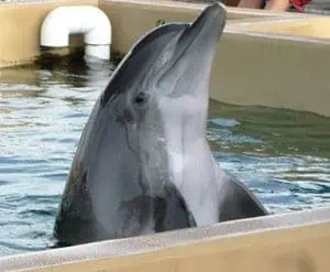 10 Best Adventures at Fort Walton Beach 8