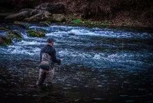 OzarkChronicles.com | Barren Fork Creek