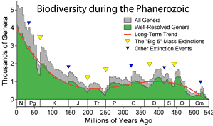 How Earth Became The Natural Habitat For Humanity From A Ball Of Fire 10