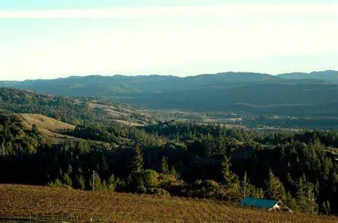 anderson valley wineries